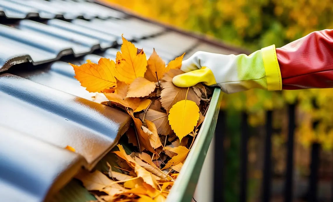 gutter cleaning