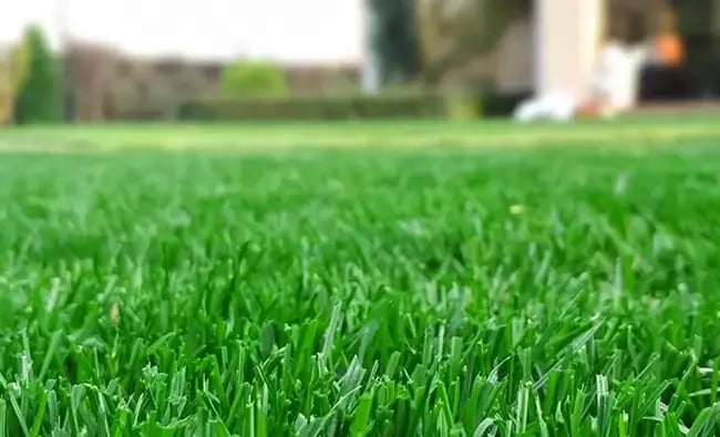 land-trust