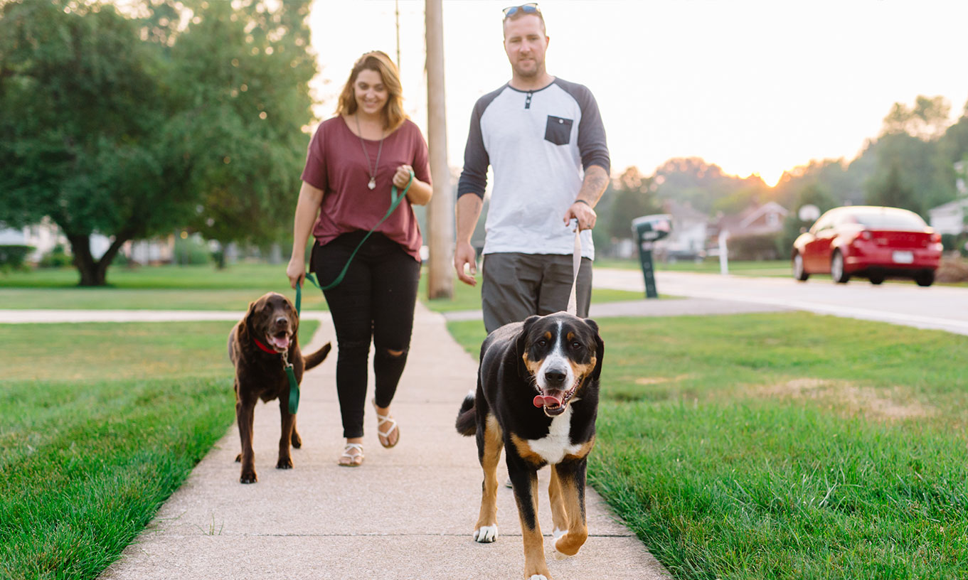 Walking-dog